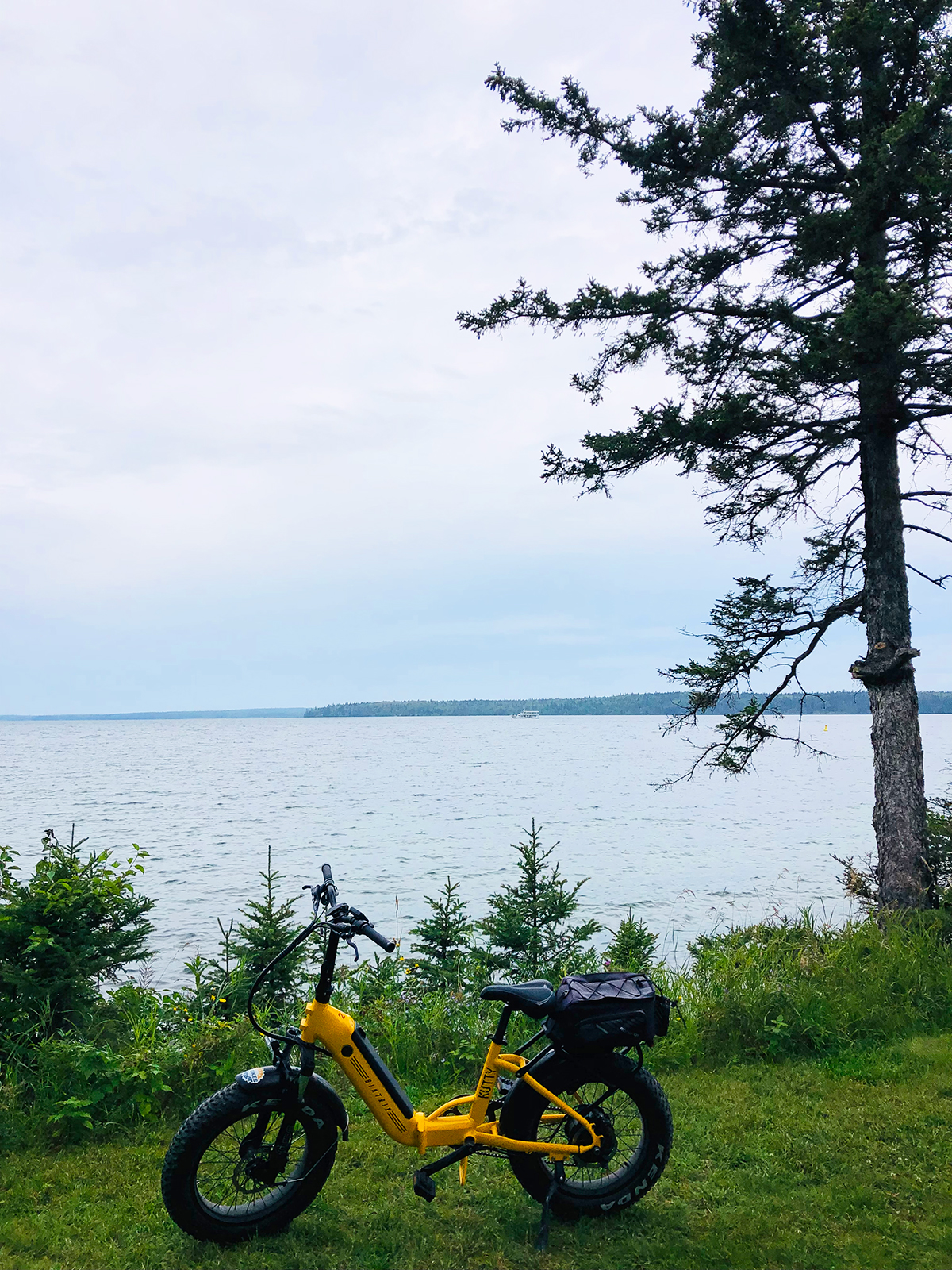 yellow bike with grass with lake in distance