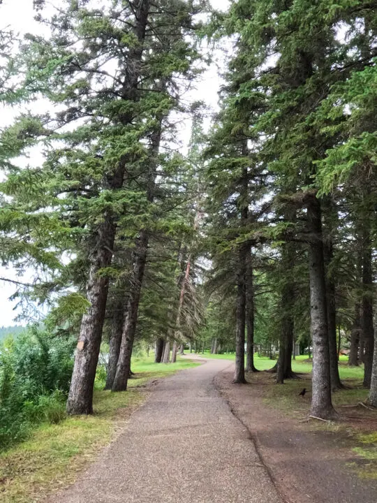 south shore hiking trail view of path through trees in clear lake manitoba