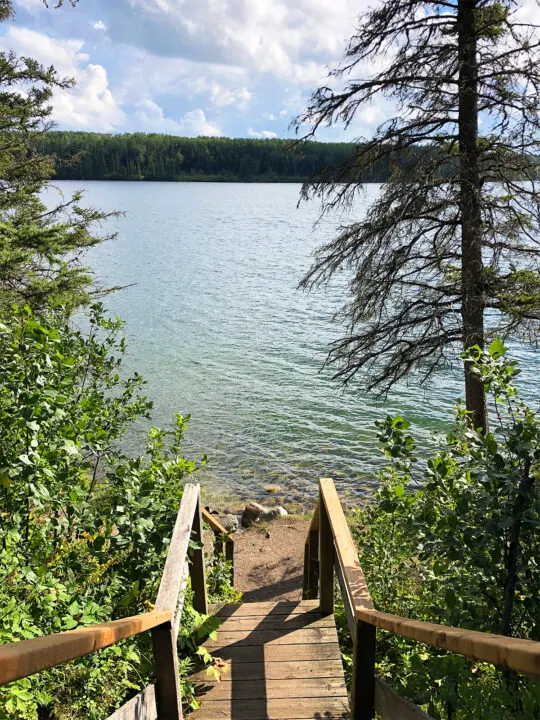 stairs going to lakeshore with trees on manitoba vacation