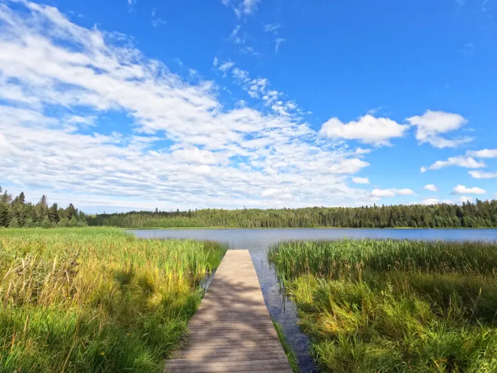 lake in riding mountain national park view of pier lake grass on sunny day