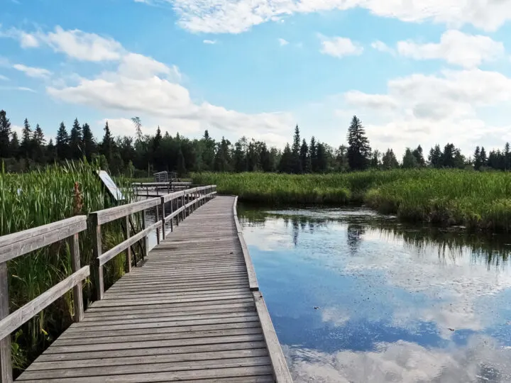 ominick marsh trail wooden path over water on marsh with trees in distance