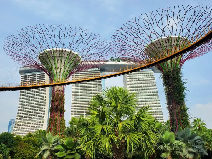 view of two towers lush foliage with buildings in distance best countries to visit in January Singapore