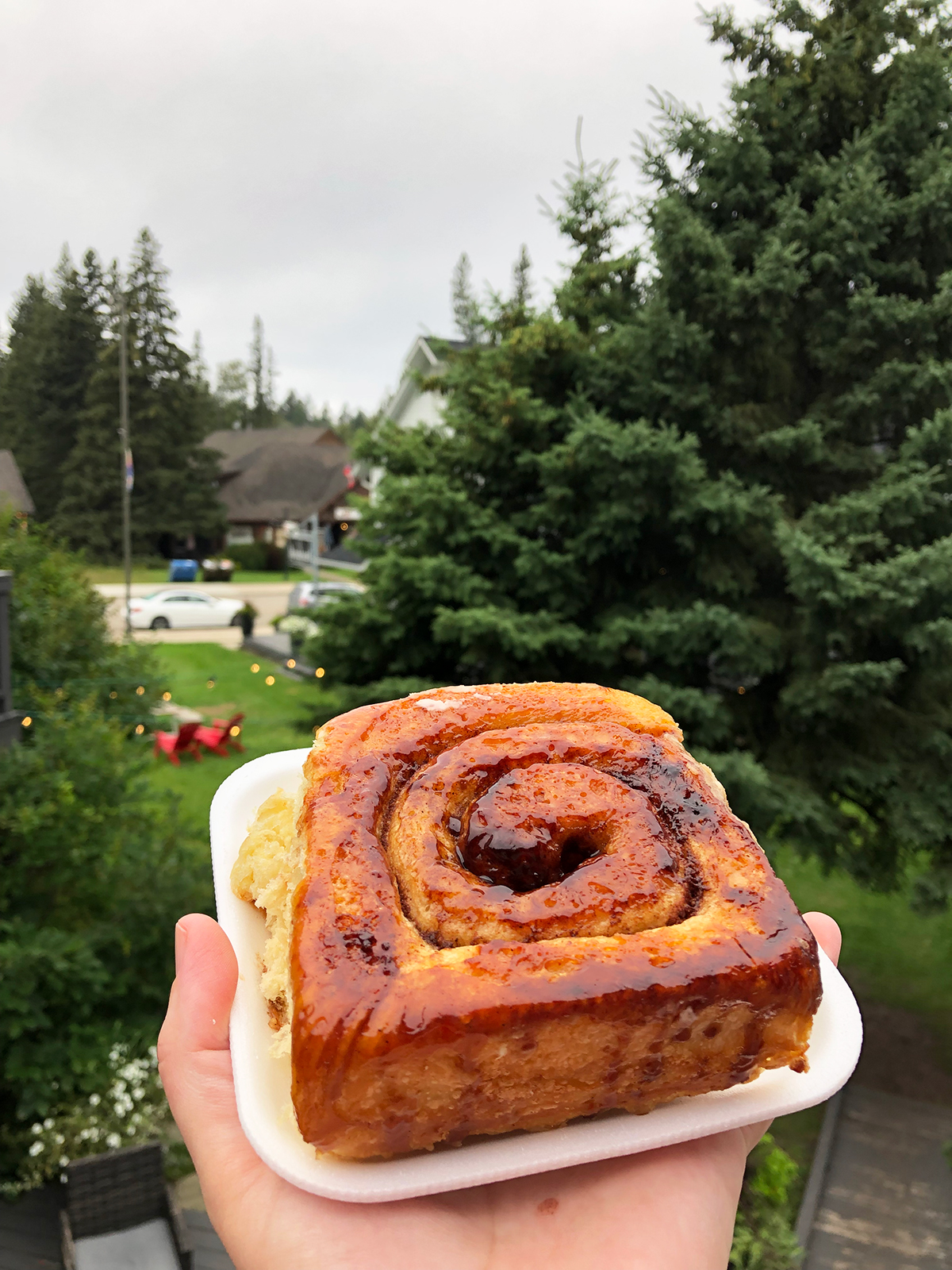 hand holding a square cinnamon roll on small plate with trees in distance