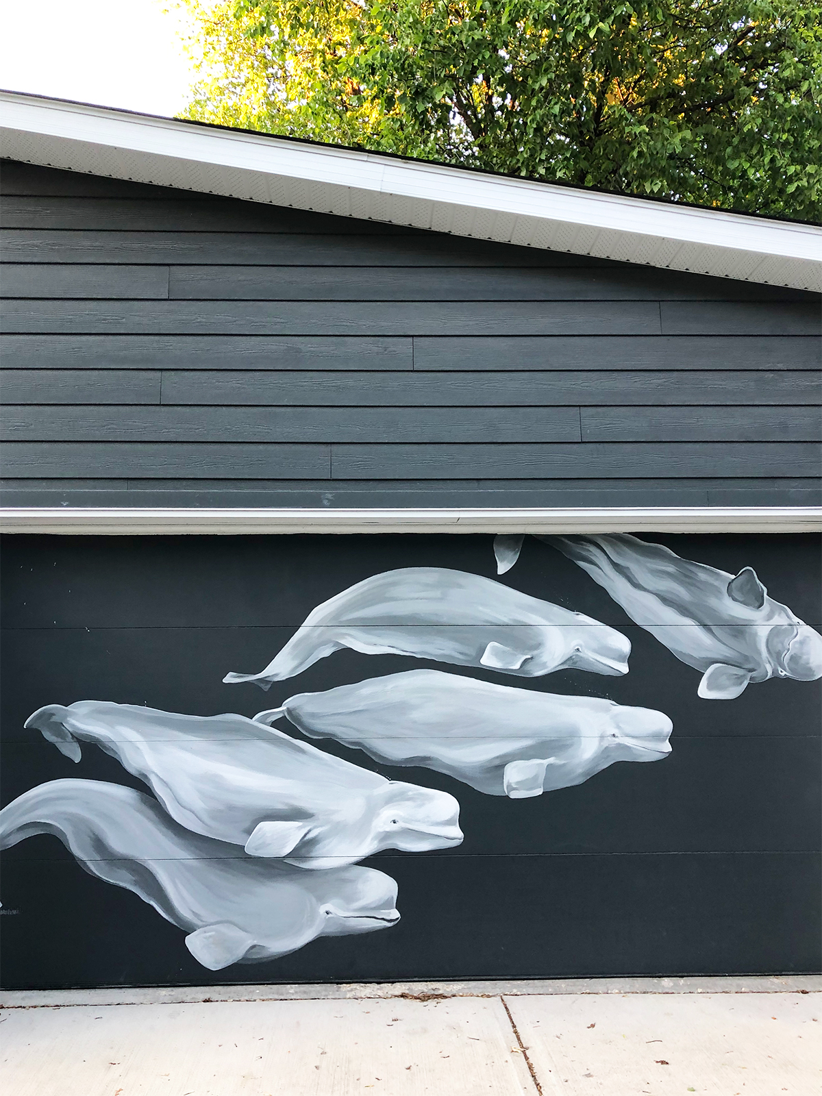 beluga whales mural painted on grey garage door