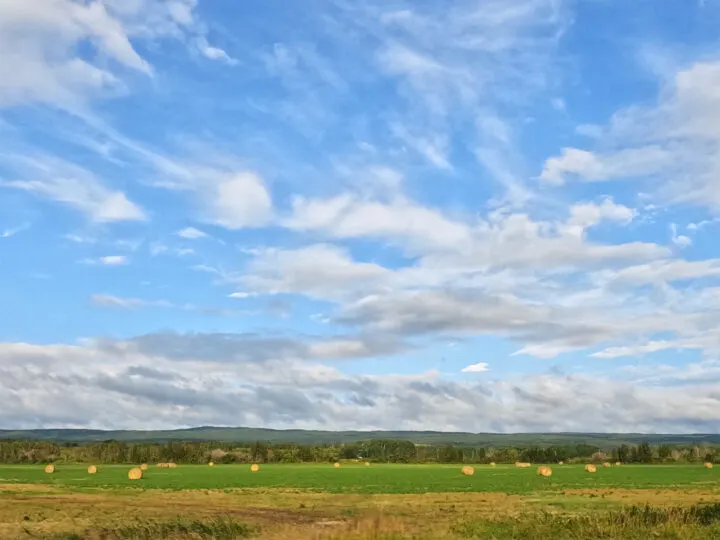 view of drive from Winnipeg to Clear Lake green fields big blue sky