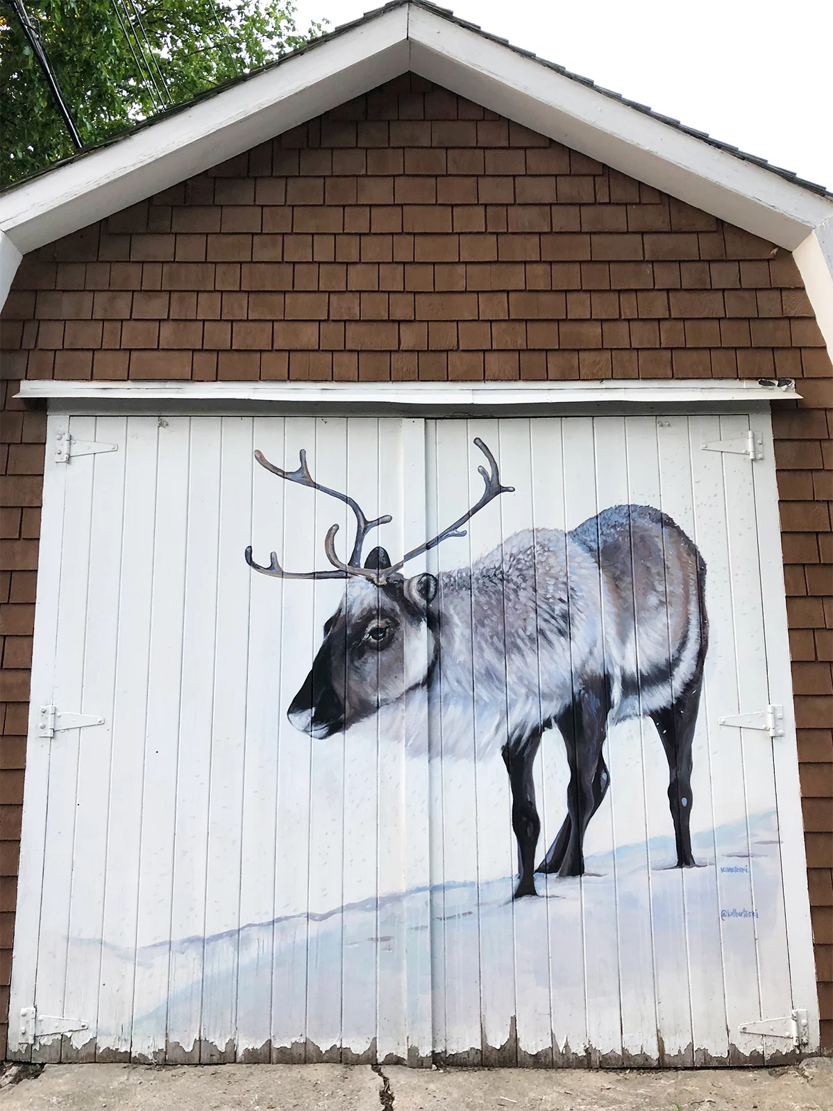 free things to do in Winnipeg view of arctic alley mural painted on garage door