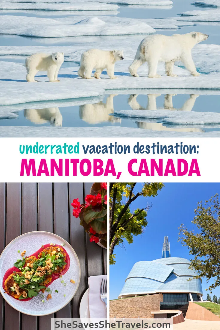 underrated vacation destination manitoba canada pictures of polar bears food on table and building