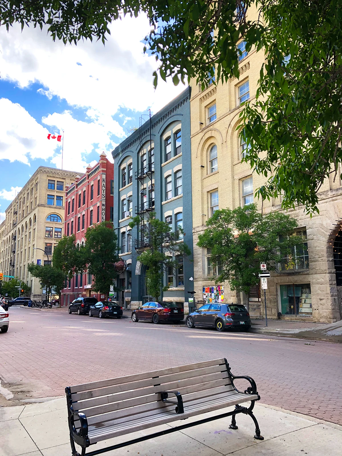 colorful buildings with brick street and bench under tree