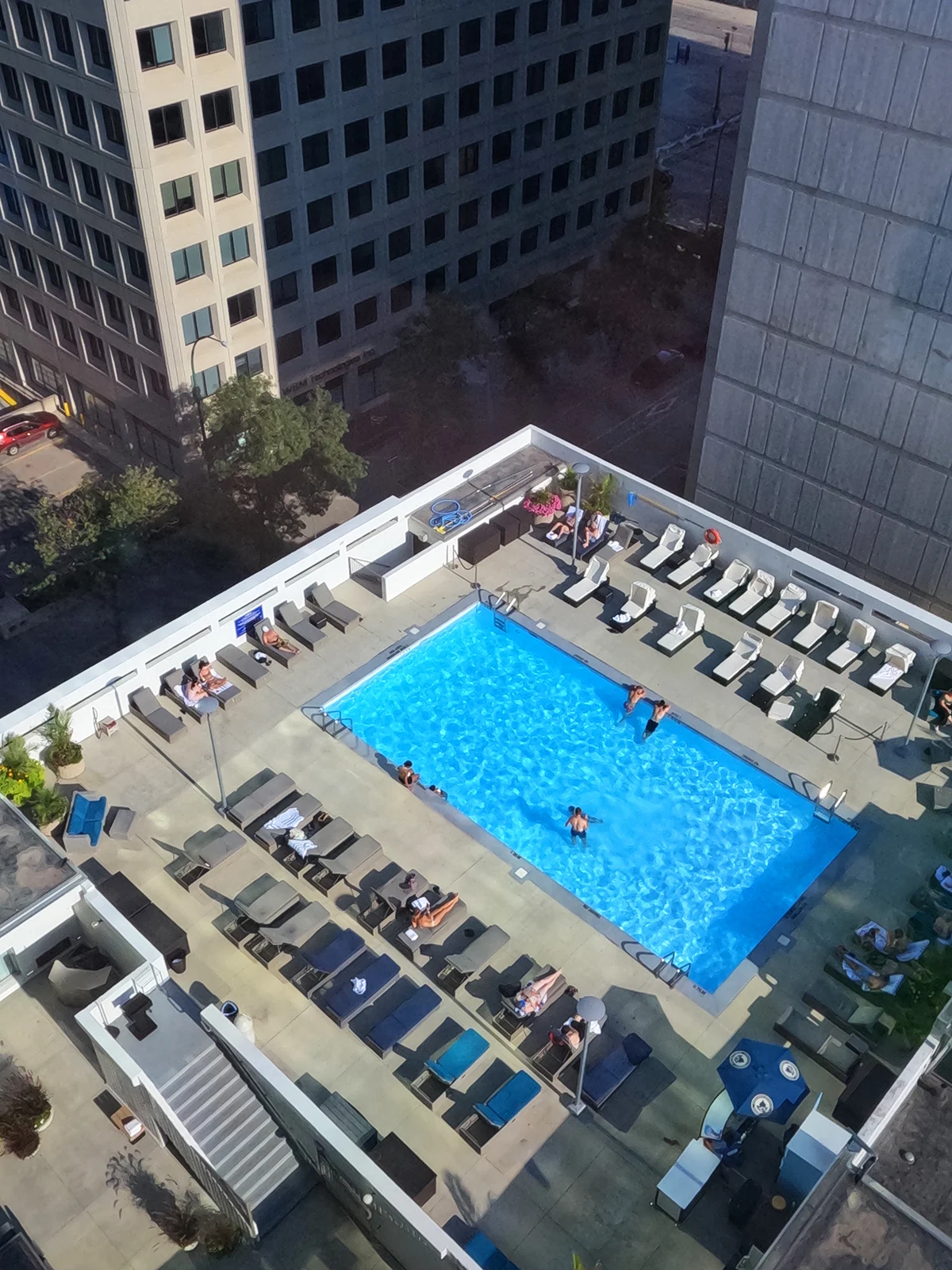 rooftop pool at delta hotel in downtown winnipeg