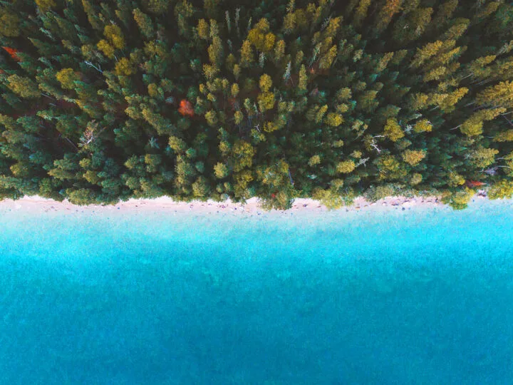 view of trees beach and blue water looking down