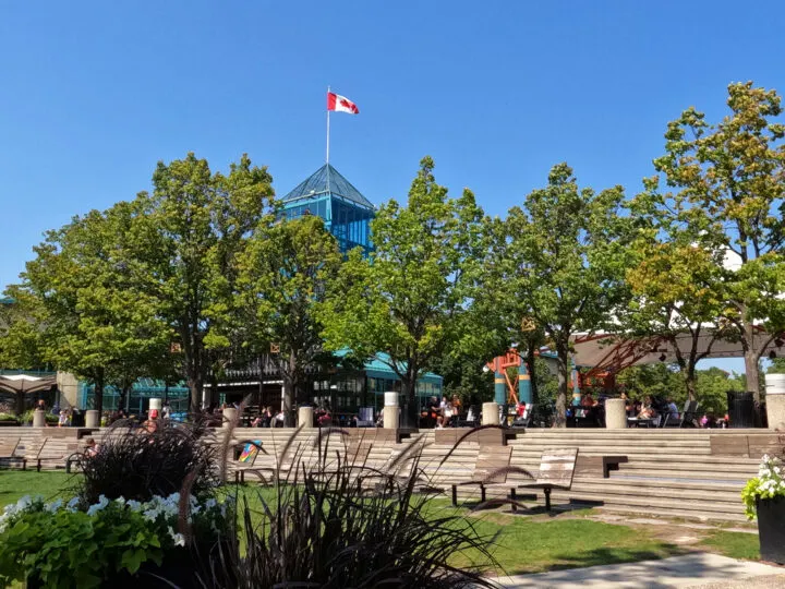 view of plants trees building and steps with canada flag