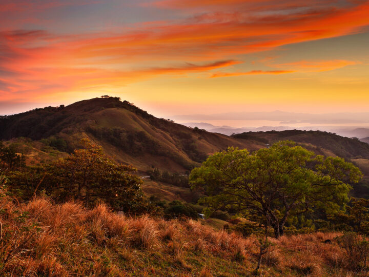Things to do in Monteverde watch a sunset with rolling hills tree and orange clouds in sky
