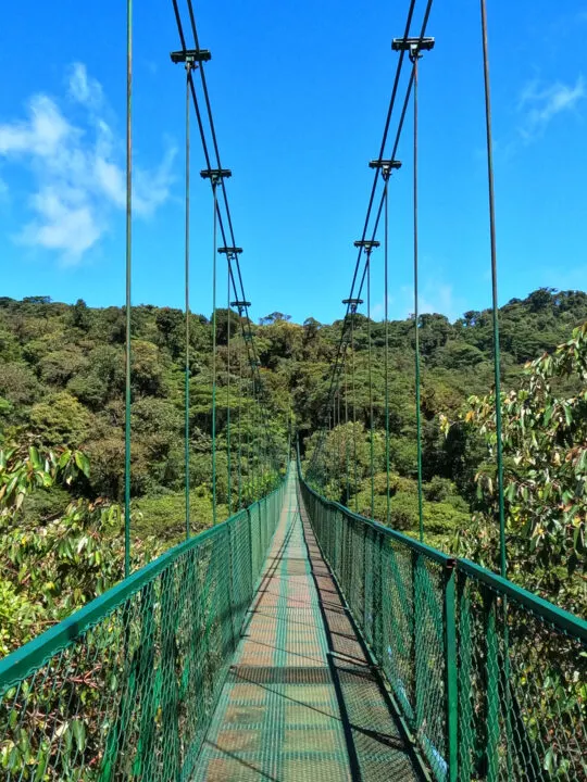 hanging bridges Monteverde view of green bridge and wire through canopy of trees