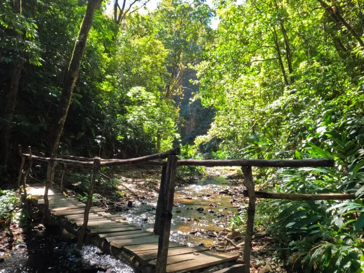 Monteverde hiking bridge over creek with trees surrounding