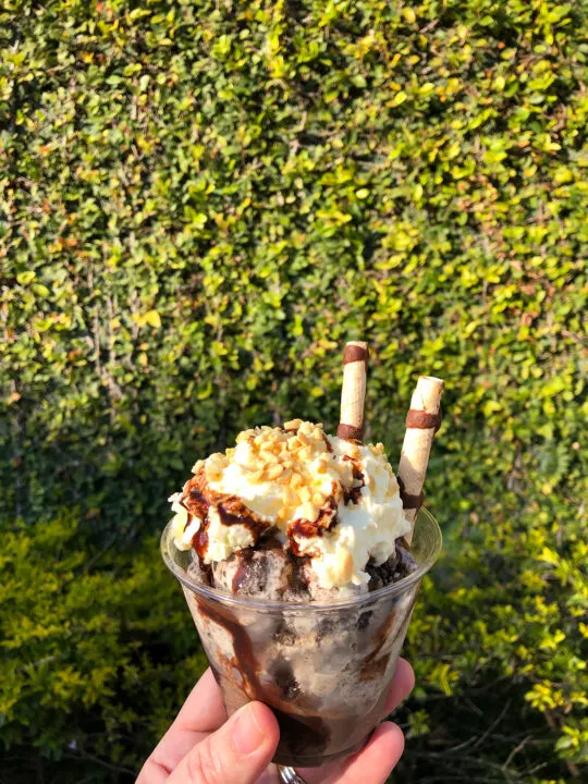 vanilla ice cream with nuts and candy straws against green leaves
