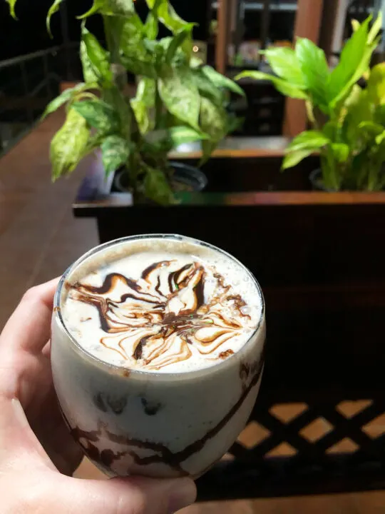 milk shake white with chocolate syrup with plants in background