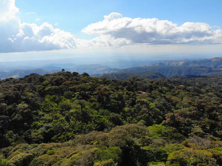 cloud forest reserve Monteverde view from above trees