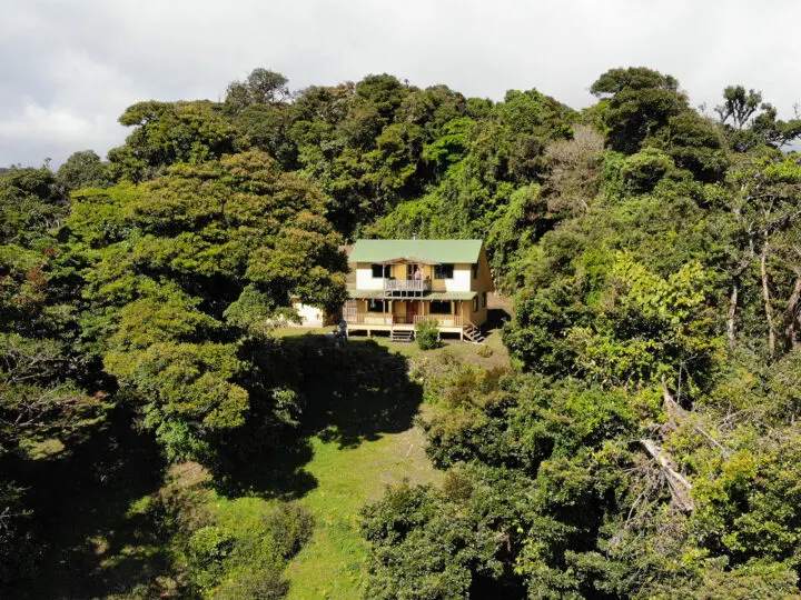 cabin in cloud forest Monteverde yellow house with trees surrounding it