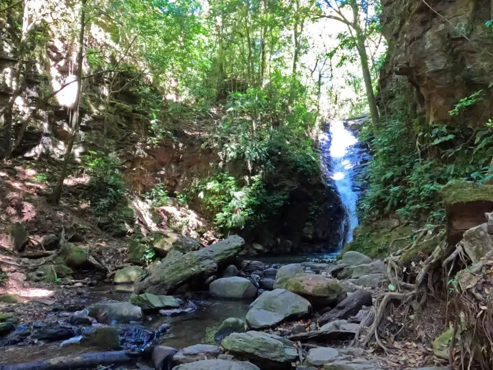 view of Monteverde waterfall with rocky base tall trees surrounding