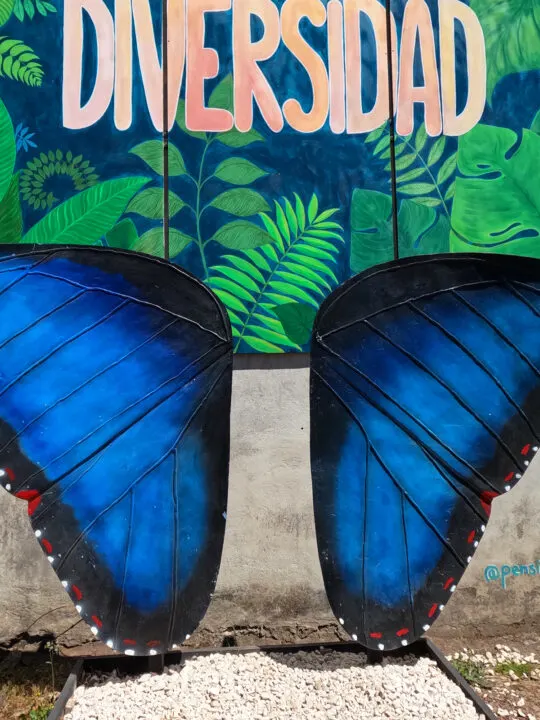 painted butterfly wings mural
