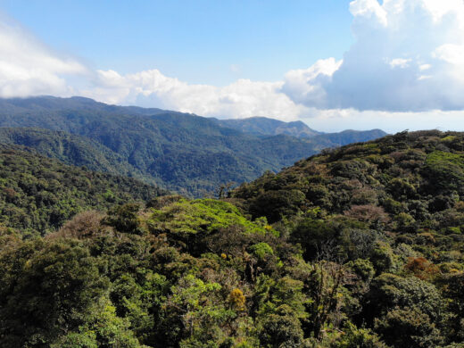 26 Fun and Unique Things to Do in Monteverde Costa Rica You Can't Miss