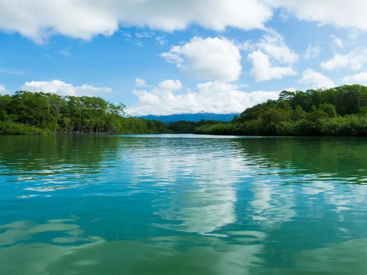 Manuel Antonio day trips view of teal water with island in distance