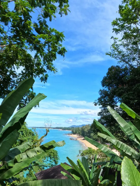 view of khao lak thailand looking through trees at beach