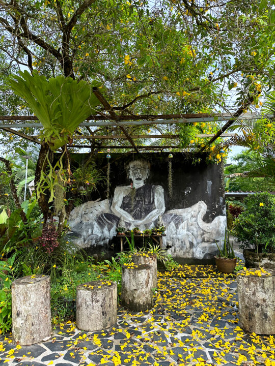 what to do in khao lak view of street art monk on wall with trees and yellow flowers surrounding