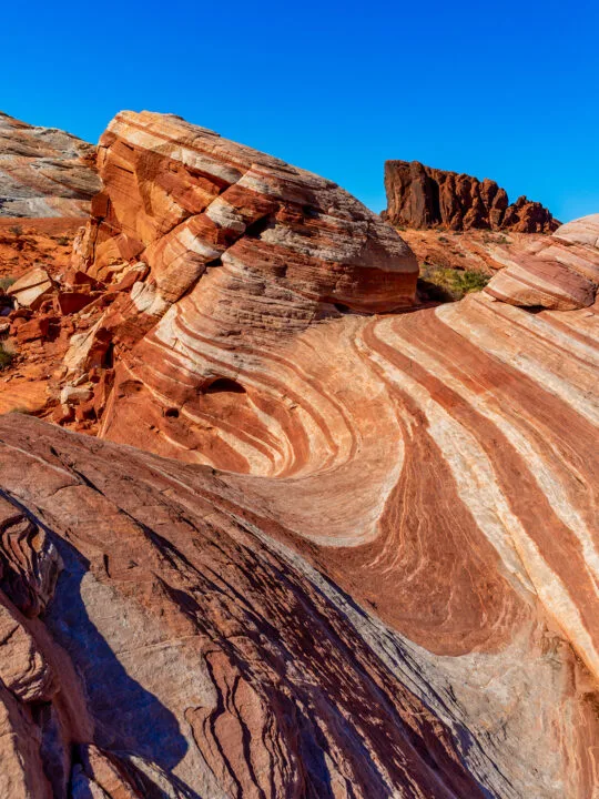 vegas day trips red swirled rock view of valley of fire state park