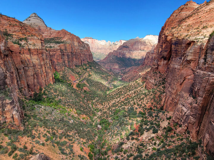 view of canyon red rock walls green base