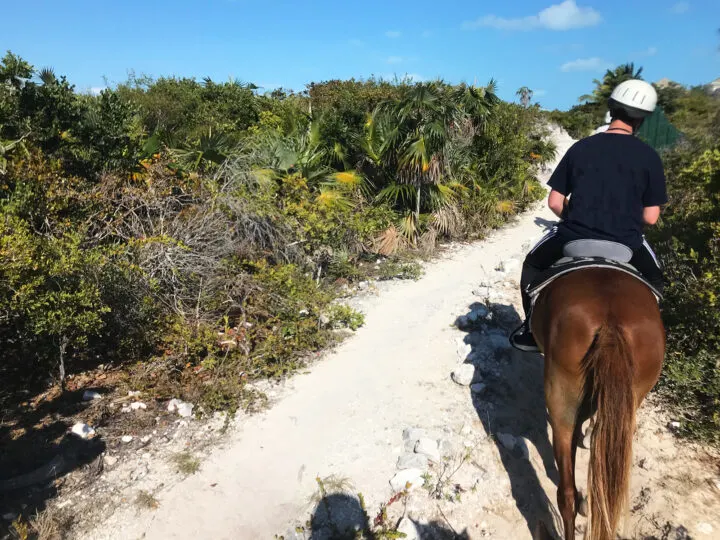 horseback riding Manuel Antonio view of man riding horse on the sand with tropical foliage