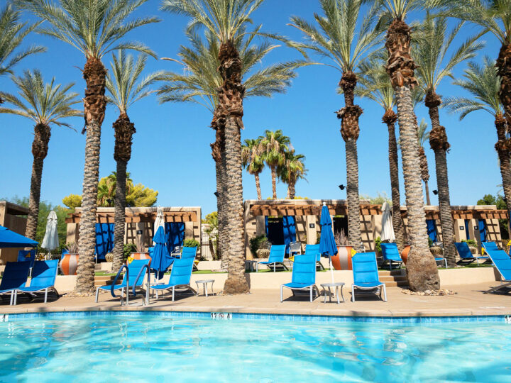 palm trees and pool with chairs on sunny day