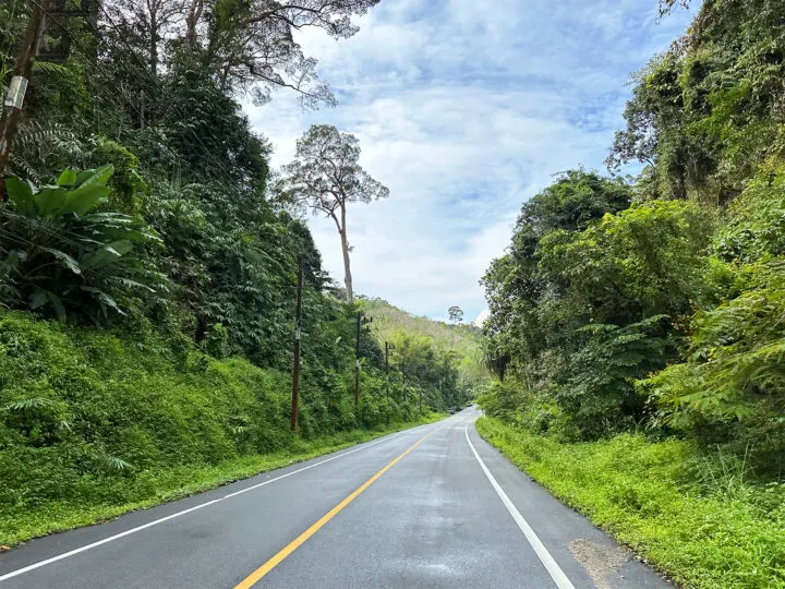 road in phang nga thailand with lush vegetation