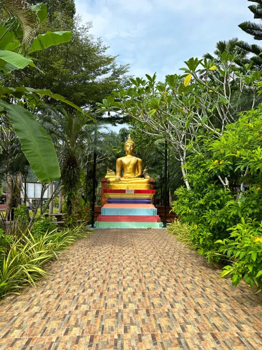 khao lak thailand view of buddha on stack and trees surrounding