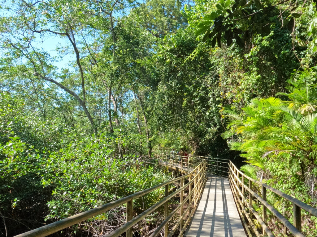 what to do in Manuel Antonio Costa Rica view of walking trail through rainforest