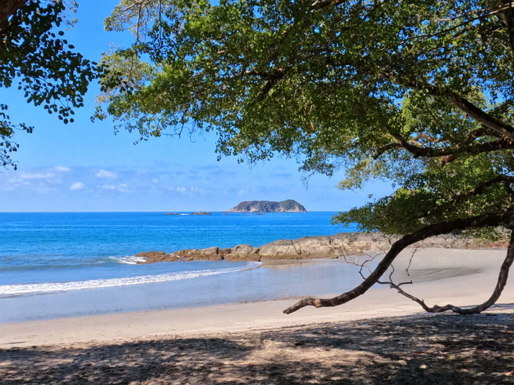 view of Manuel Antonio Beach through trees tan sand blue water on gorgeous beach