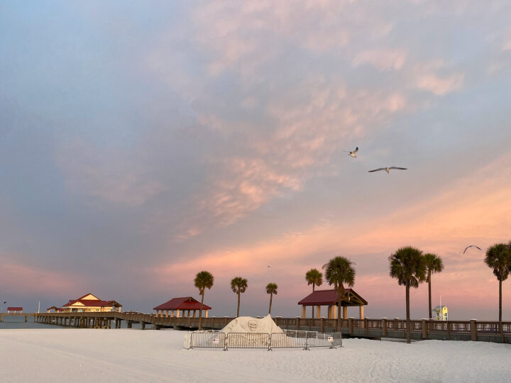 view of warm beach white sand at sunset with pier and palm trees