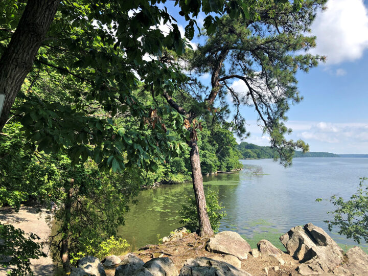 trees and sandy beach on water with coast in distance