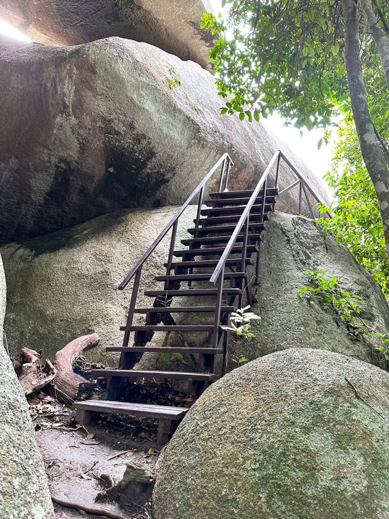 steps up large rocks