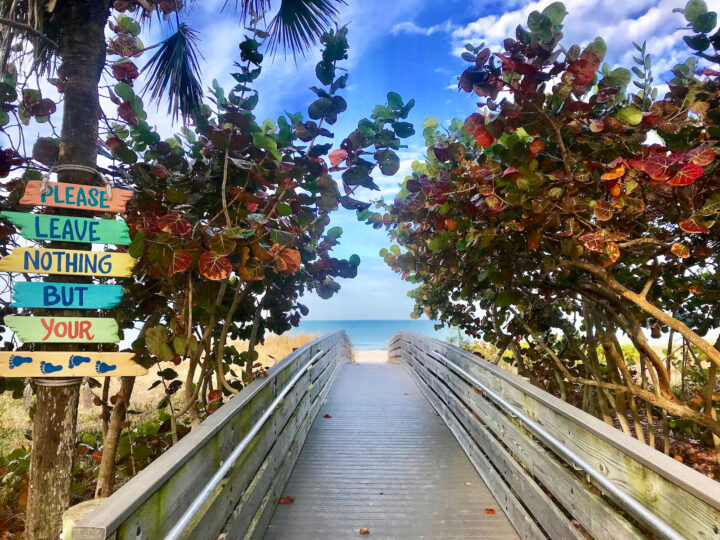 best gulf coast florida beaches walking trail through trees to beach in distance