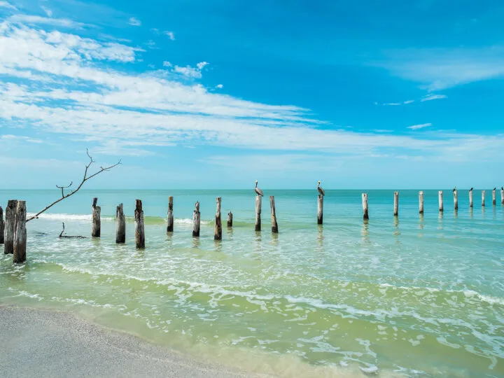 gulf coast florida beaches view of shore with subtle waves and old pier posts with pelicans perched on sunny day