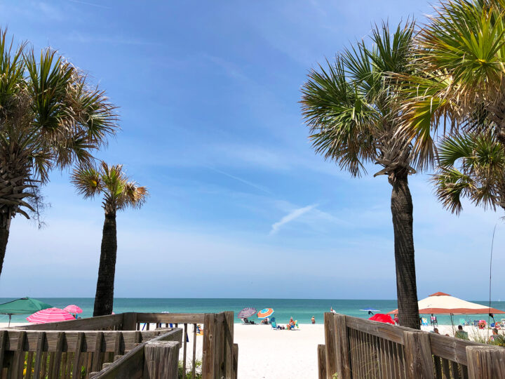 palm trees and entrance to white sand blue water on sunny day beaches on the gulf coast