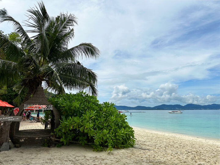 coral island from phuket view of beach palm tree bush on partly cloudy day