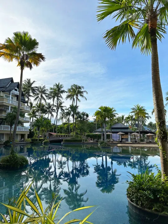 pool and hotel with palm trees on sunny day