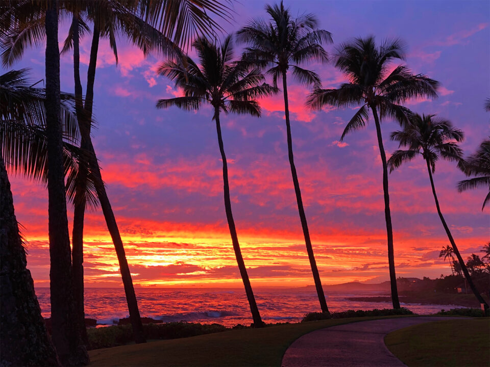 Maui Vs Kauai: Epic Island Showdown To Choose A Vacation You'll Love