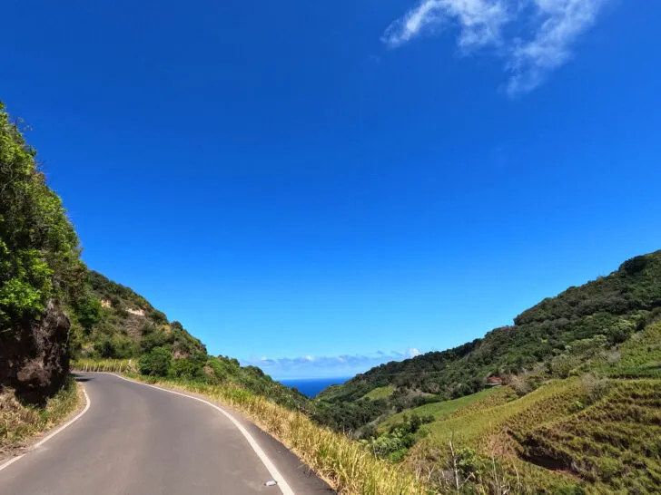 view of road through lush mountainside with view to ocean blue sky