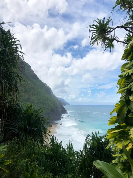 napali coast through the trees view of rigid coastline with white puffy clouds in sky