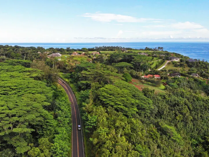 maui vs kauai scenic road with large trees and ocean coast