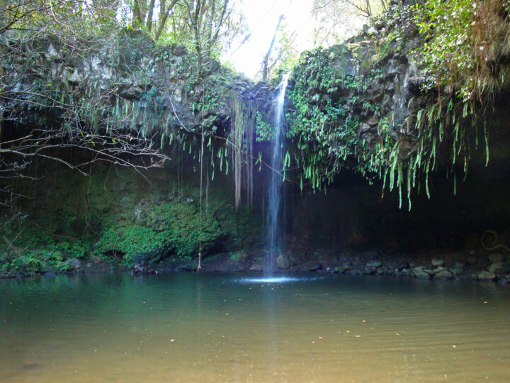 maui vs kauai honeymoon twin falls road to Hana water falling into pool of water