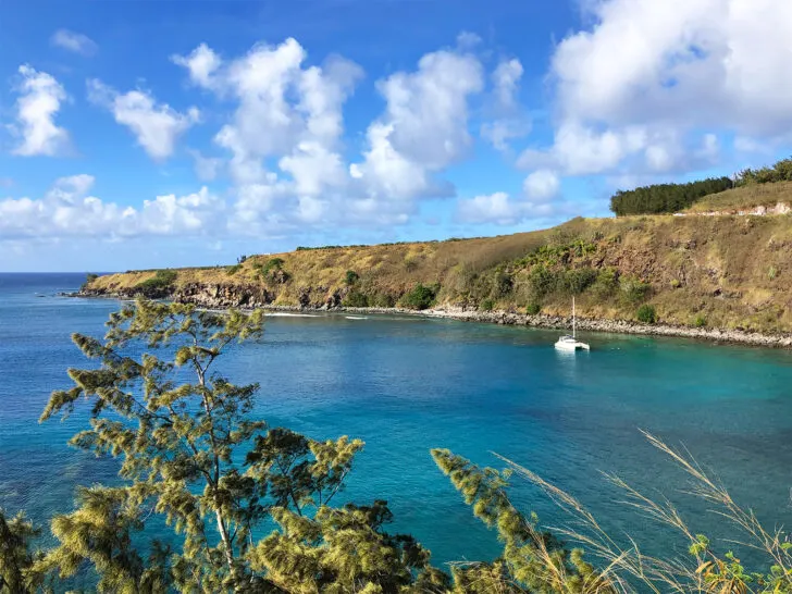 what to bring to Hawaii view of Honolua Bay with teal water white boat coast and tree nearby